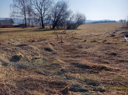 20250308_100640 | Prodej - pozemek pro bydlení, 974 m²