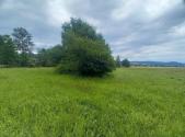 Prodej - pozemek pro bydlení, 974 m²