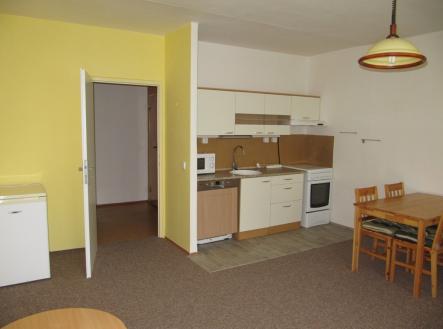 IMG_3289 | Pronájem bytu, 1+kk, 32 m²