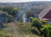 Prodej - pozemek, zahrada, 1 117 m²
