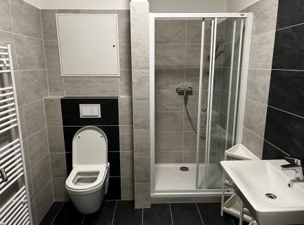 IMG_4381 | Pronájem bytu, 1+kk, 30 m²