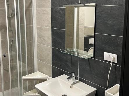 IMG_4400 | Pronájem bytu, 1+kk, 30 m²