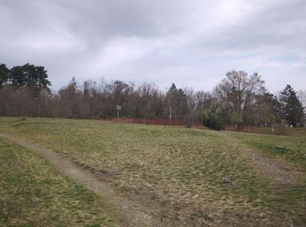 IMG_20260402_100201 | Prodej - pozemek, zahrada, 617 m²