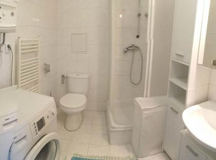 157cebf1-5ae4-4b5e-9010-606ae0acda70-1_all_18527 | Pronájem bytu, 1+kk, 25 m²