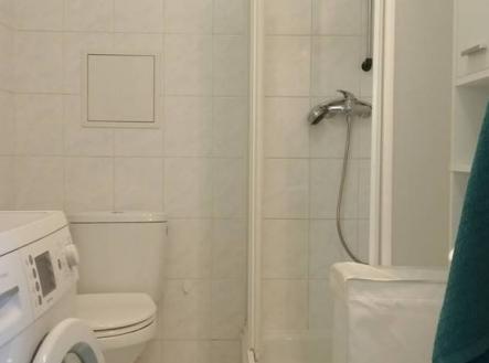 157cebf1-5ae4-4b5e-9010-606ae0acda70-1_all_18529 | Pronájem bytu, 1+kk, 25 m²