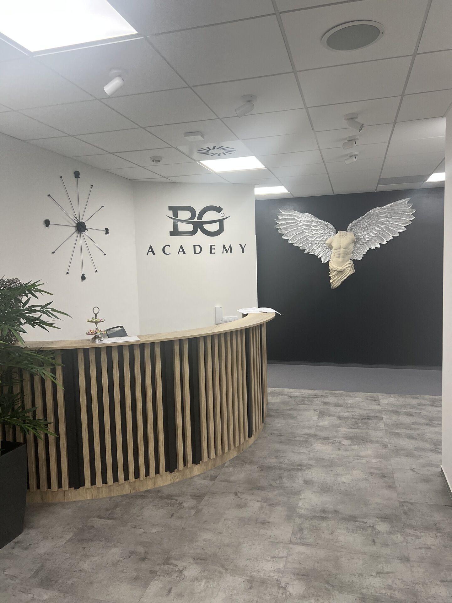 Kancelářské nebo obchodní prostory (showroom) o velikosti 250 m² — Křižíkova 97, Praha 8 - Karlín