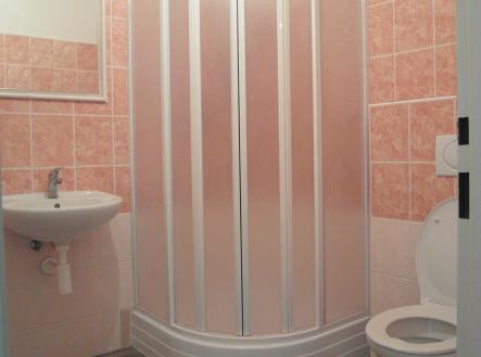 SAM_2722 | Pronájem bytu, 2+1, 72 m²
