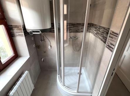 IMG_5205 | Pronájem bytu, 1+1, 29 m²