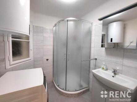 20241122_110719 | Pronájem bytu, 1+1, 33 m²