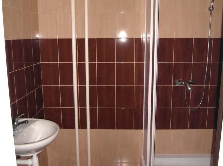 SAM_0582 | Pronájem bytu, 2+1, 60 m²