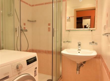 DSC_0941 | Pronájem bytu, 2+1, 54 m²