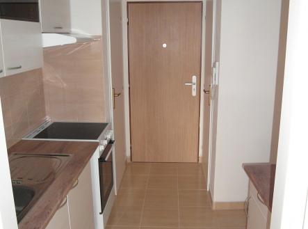 SAM_0597 | Pronájem bytu, 1+1, 30 m²