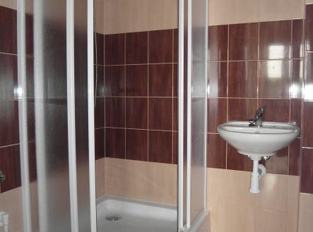 SAM_0594 | Pronájem bytu, 1+1, 30 m²