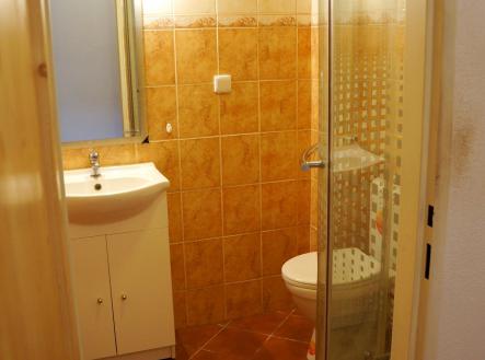 DSC00745 | Pronájem bytu, 1+kk, 30 m²