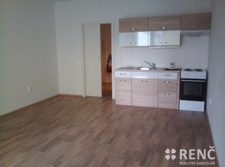 kuchuyn 004 | Pronájem bytu, 1+kk, 41 m²