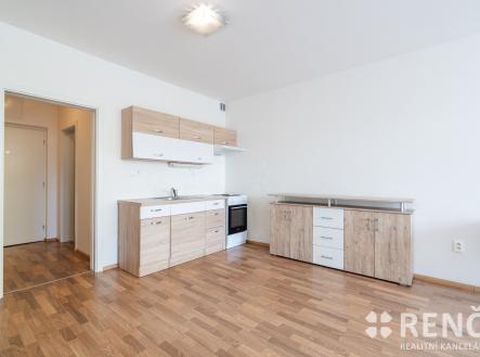 Francouzska17-10 | Pronájem bytu, 1+kk, 41 m²