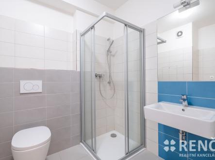 Francouzska17-3 | Pronájem bytu, 1+kk, 41 m²