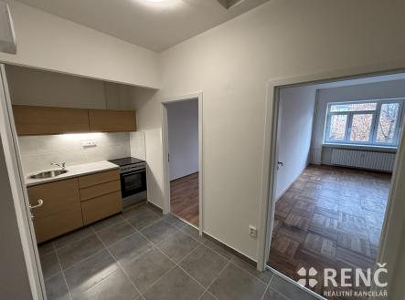 IMG_3445 | Pronájem bytu, 2+1, 48 m²