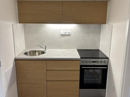 IMG_3443 | Pronájem bytu, 2+1, 48 m²