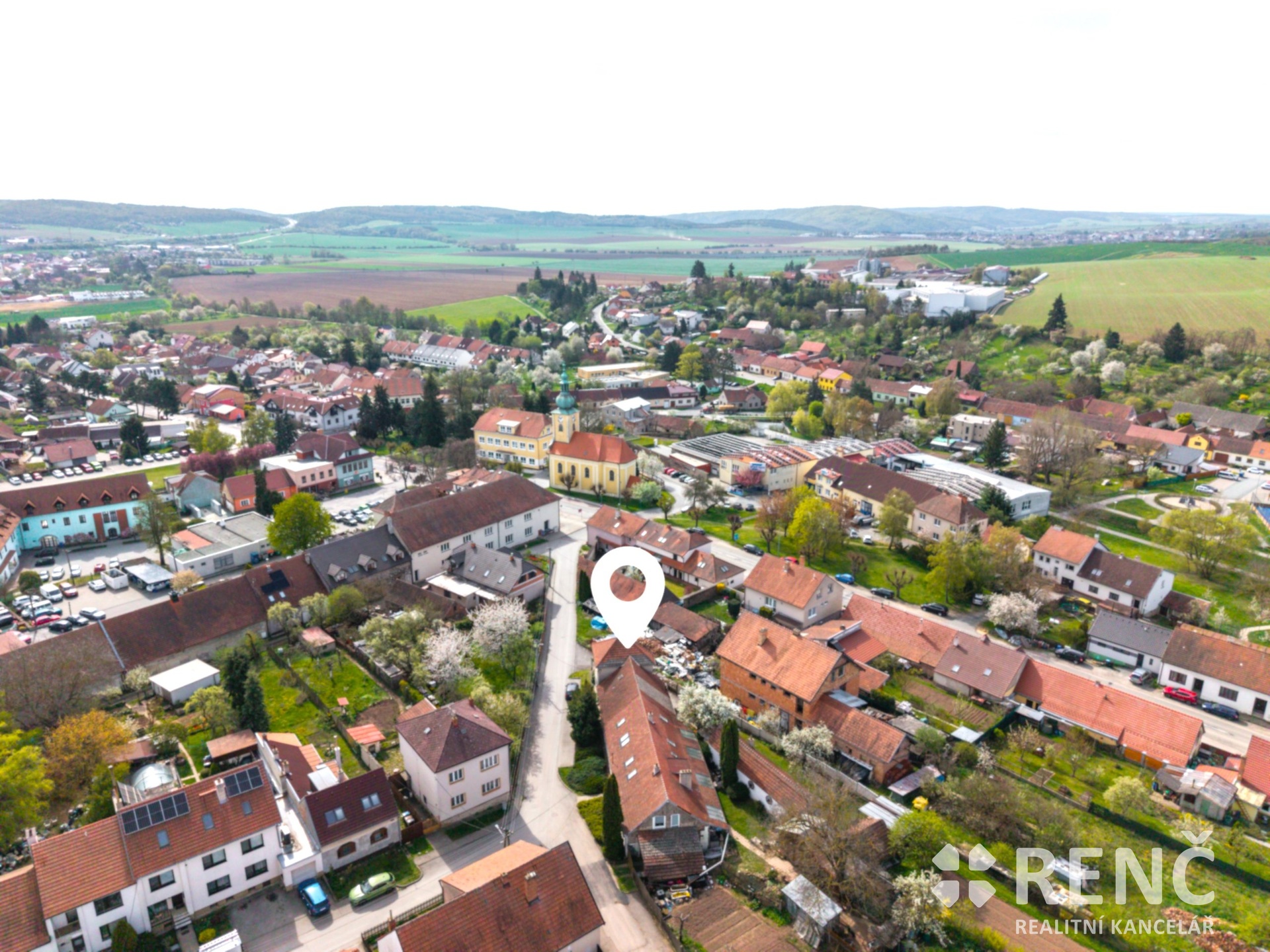 RDRicany-49