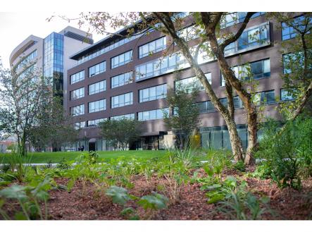 Vlnena_0862 | Pronájem - kanceláře, 472 m²