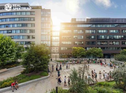 5 | Pronájem - kanceláře, 506 m²