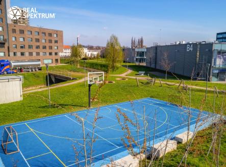 Ponavka-47-v2 | Pronájem - kanceláře, 765 m²