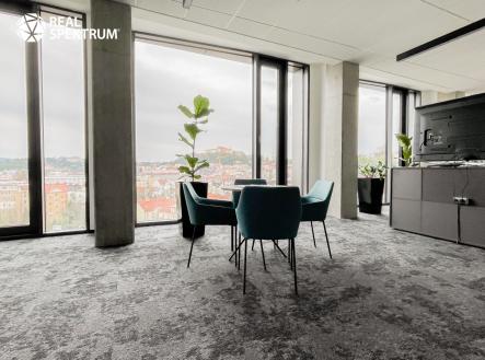 IMG_E1149 | Pronájem - kanceláře, 485 m²
