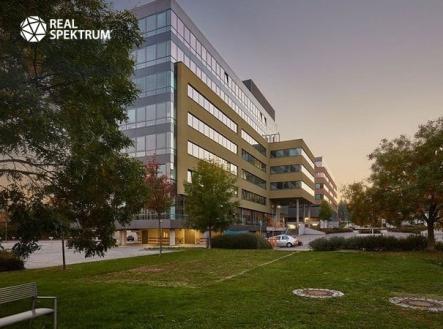 Pronájem KA Londýnské nám._09 | Pronájem - kanceláře, 373 m²
