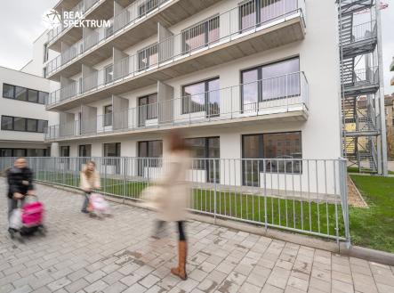 Prodej bytu, 1+kk, 33 m²