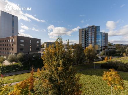 ponavka_11-2021-15 | Pronájem - obchodní prostor, 119 m²