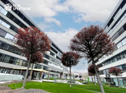 IMG_E1158 | Pronájem - kanceláře, 780 m²