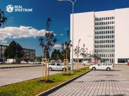 Pronájem KA Tuřanka_01 | Pronájem - kanceláře, 34 m²