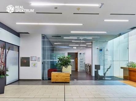 Pronájem KA Londýnské 15 | Pronájem - kanceláře, 640 m²