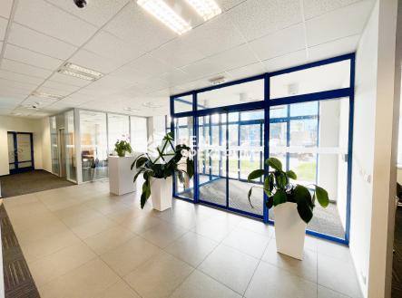 Pronájem - kanceláře, 470 m²