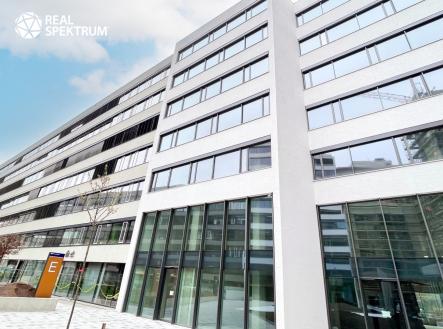 IMG_E1156 | Pronájem - kanceláře, 310 m²