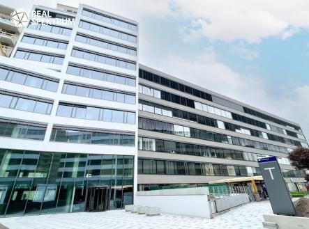 IMG_E1157 | Pronájem - kanceláře, 285 m²