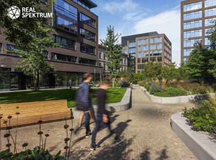 18 | Pronájem - kanceláře, 213 m²