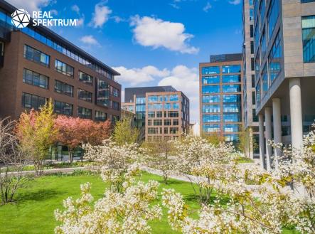 Vlnena-31 | Pronájem - obchodní prostor, 84 m²