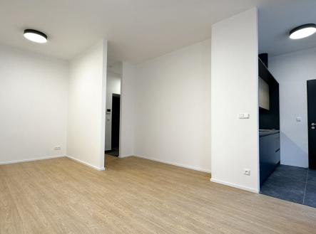 IMG_2539 | Pronájem bytu, 2+kk, 45 m²