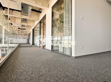 Pronájem - kanceláře, 359 m²