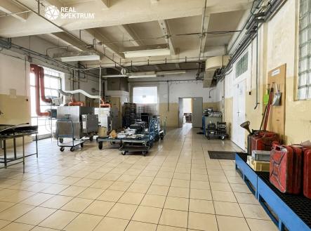 IMG_5409 | Prodej - komerční objekt, výroba, 10 000 m²