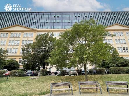 IMG_E8442 | Pronájem - kanceláře, 351 m²