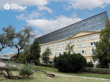 IMG_E8443 | Pronájem - kanceláře, 351 m²
