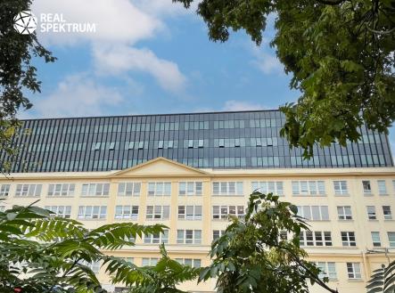 IMG_E8439 | Pronájem - kanceláře, 351 m²