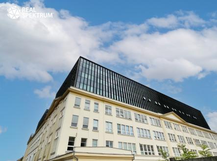 IMG_E8438 | Pronájem - kanceláře, 202 m²