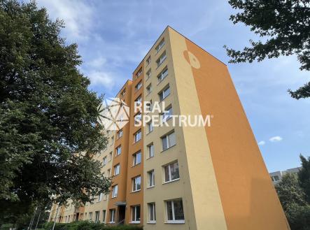 byt-prodej-boreticka-14 | Prodej bytu, 2+kk, 40 m²