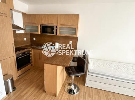 pronajem-byt-Kridlovicka-01 | Pronájem bytu, 1+kk, 33 m²