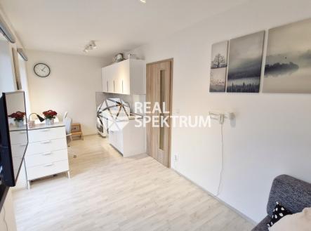 pronajem-byt-BD-LIDO-02 | Pronájem bytu, 1+kk, 22 m²