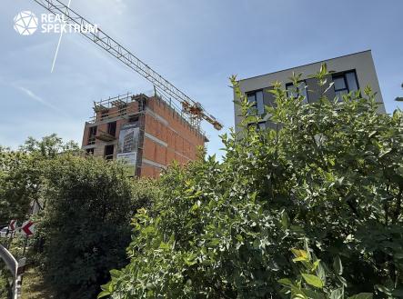IMG_9530 | Prodej bytu, 2+kk, 48 m²